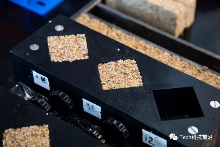 1595208002946143.jpg 細菌磚頭2.jpg