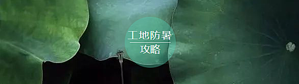 1595378634168934.png 730F872D-D350-4aff-94EB-BD896F4ABD49.png