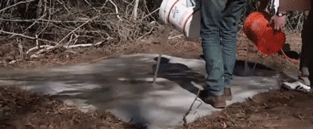 1597628286101941.gif 3.gif