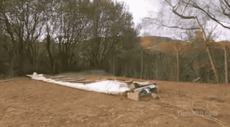 1597628343508181.gif 8.gif