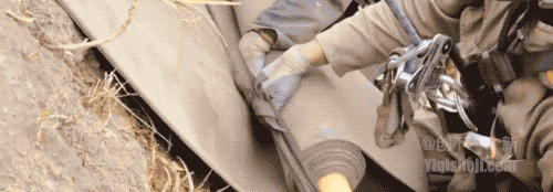 1597628432369705.gif 17.gif