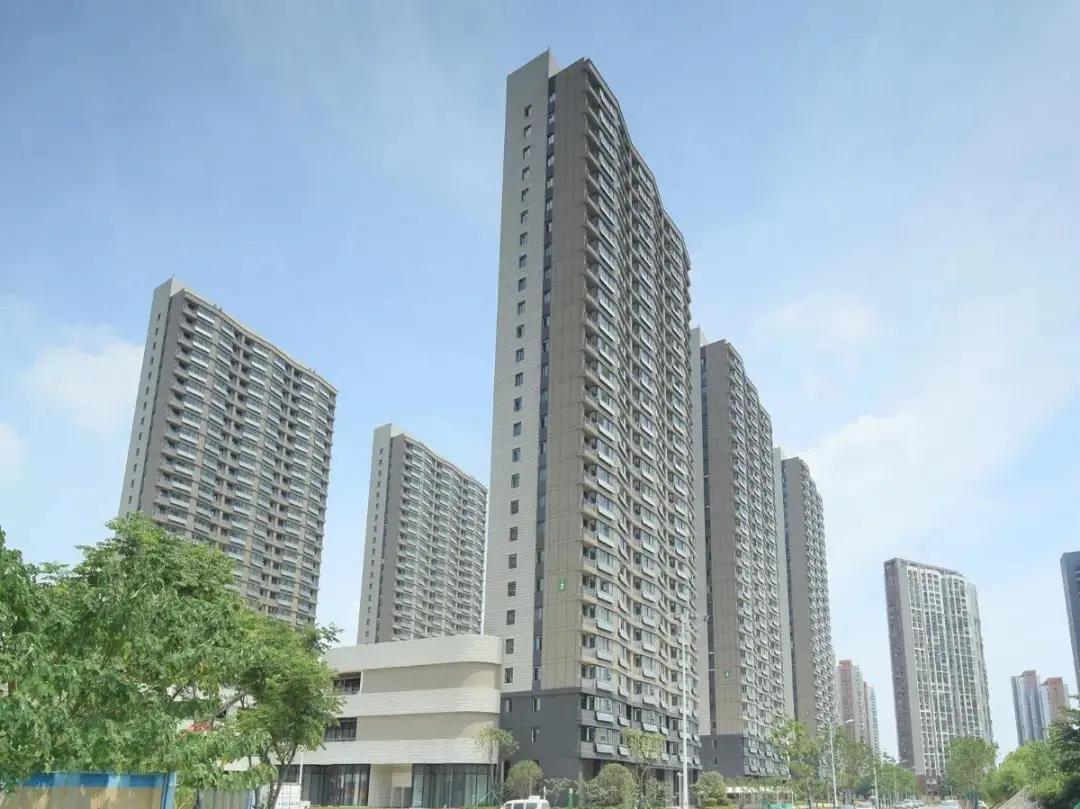 1598231718191183.jpeg 02.jpeg