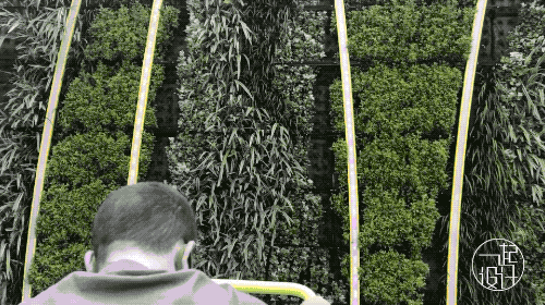 1606700439324355.gif 發電自行車和拉手架子4.gif