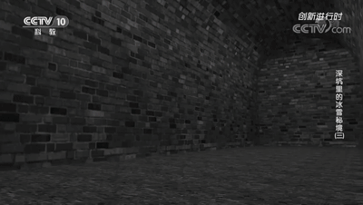 1608883385152472.gif 強支撐:冰雪世界的“大力士”.gif