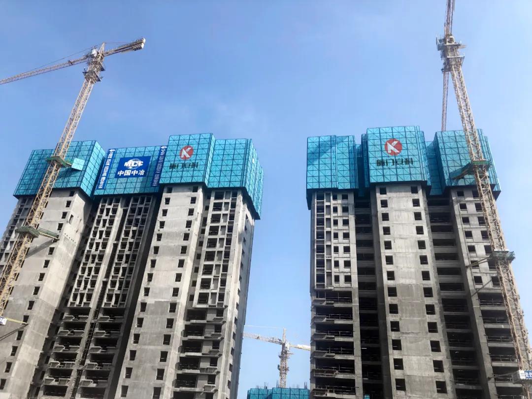 1612689508181723.jpg 1.jpg